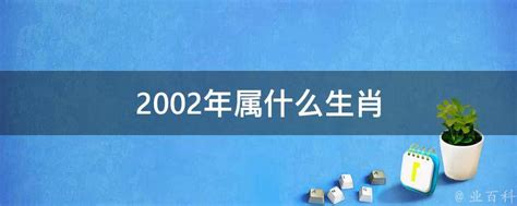 2002年属